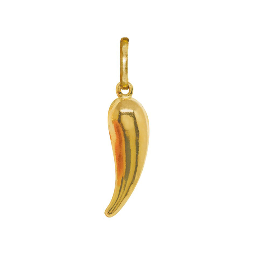 Chili Pepper Pendant in Yellow Gold