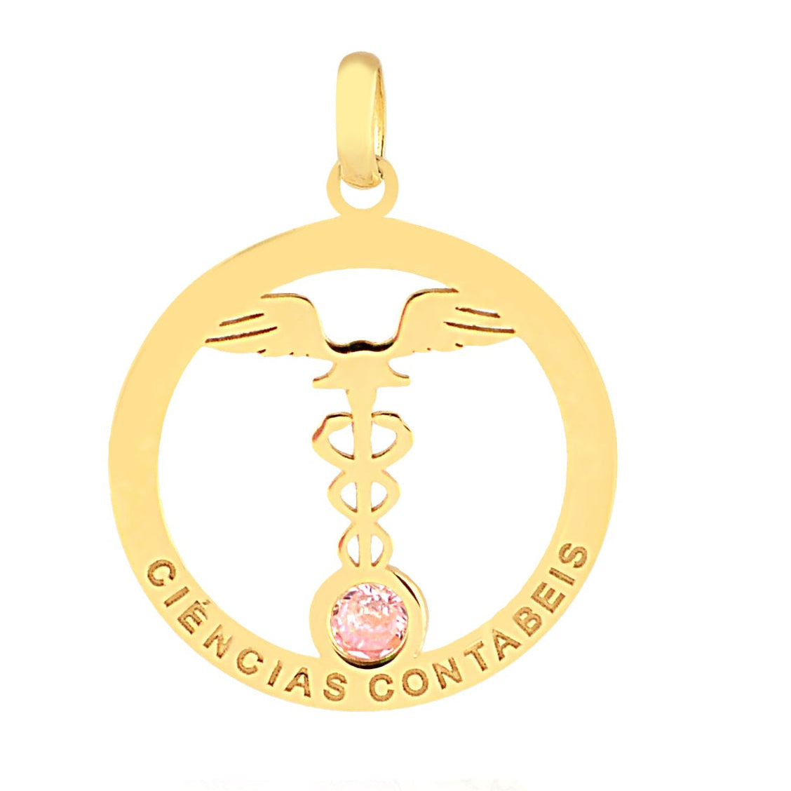 Dije Contabilidad 13615