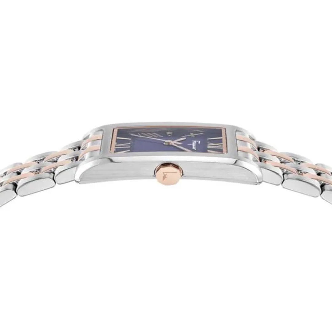 Ferragamo Unisex Watch SFRS00322