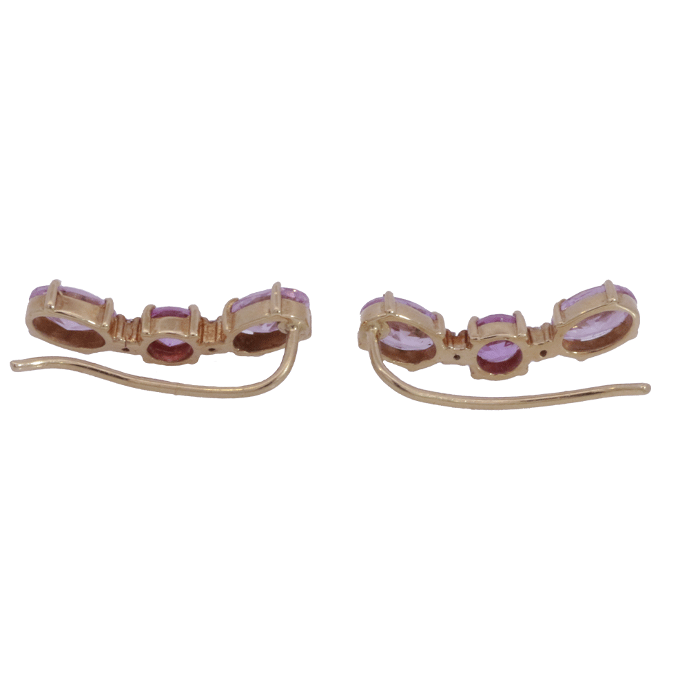 Aretes Trepadores de Ensueño