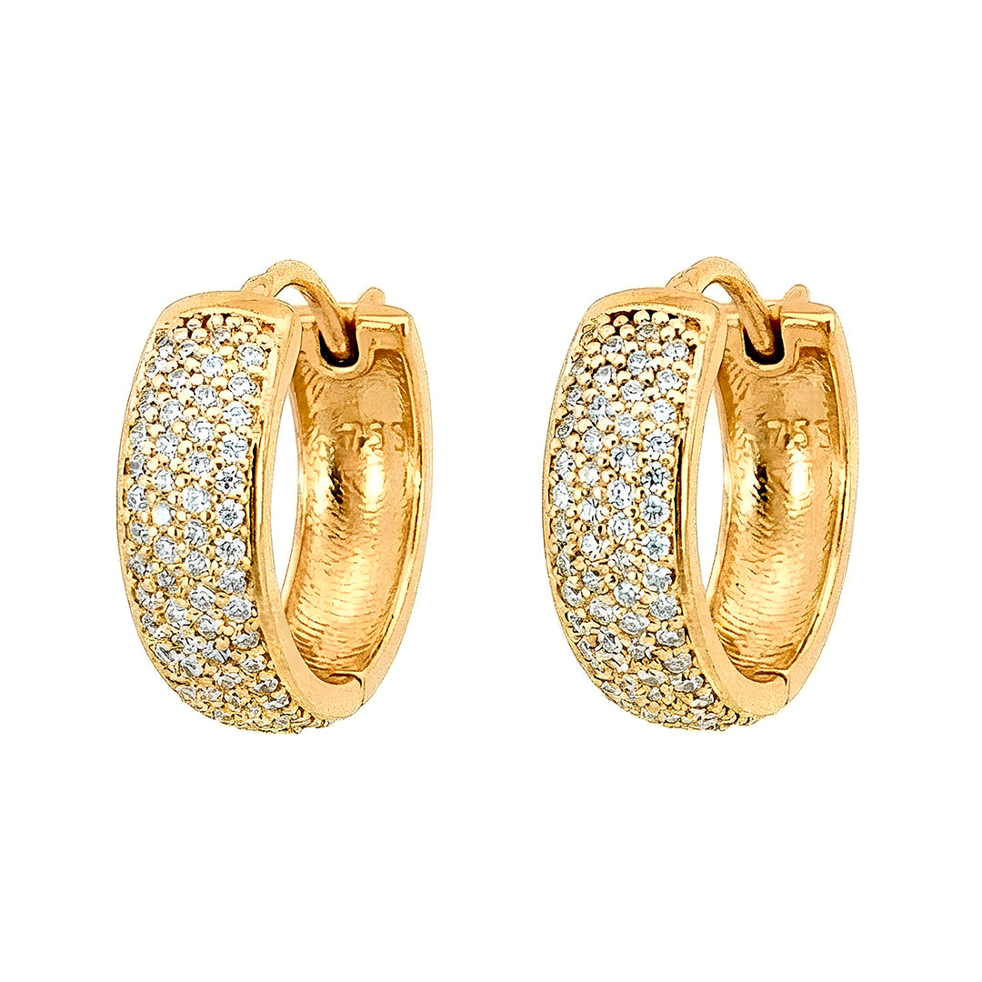 Hoop Earrings 13559