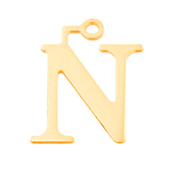 Dije Inicial N 13941