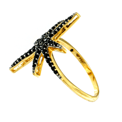 Anillo Estrella Radiante 6858