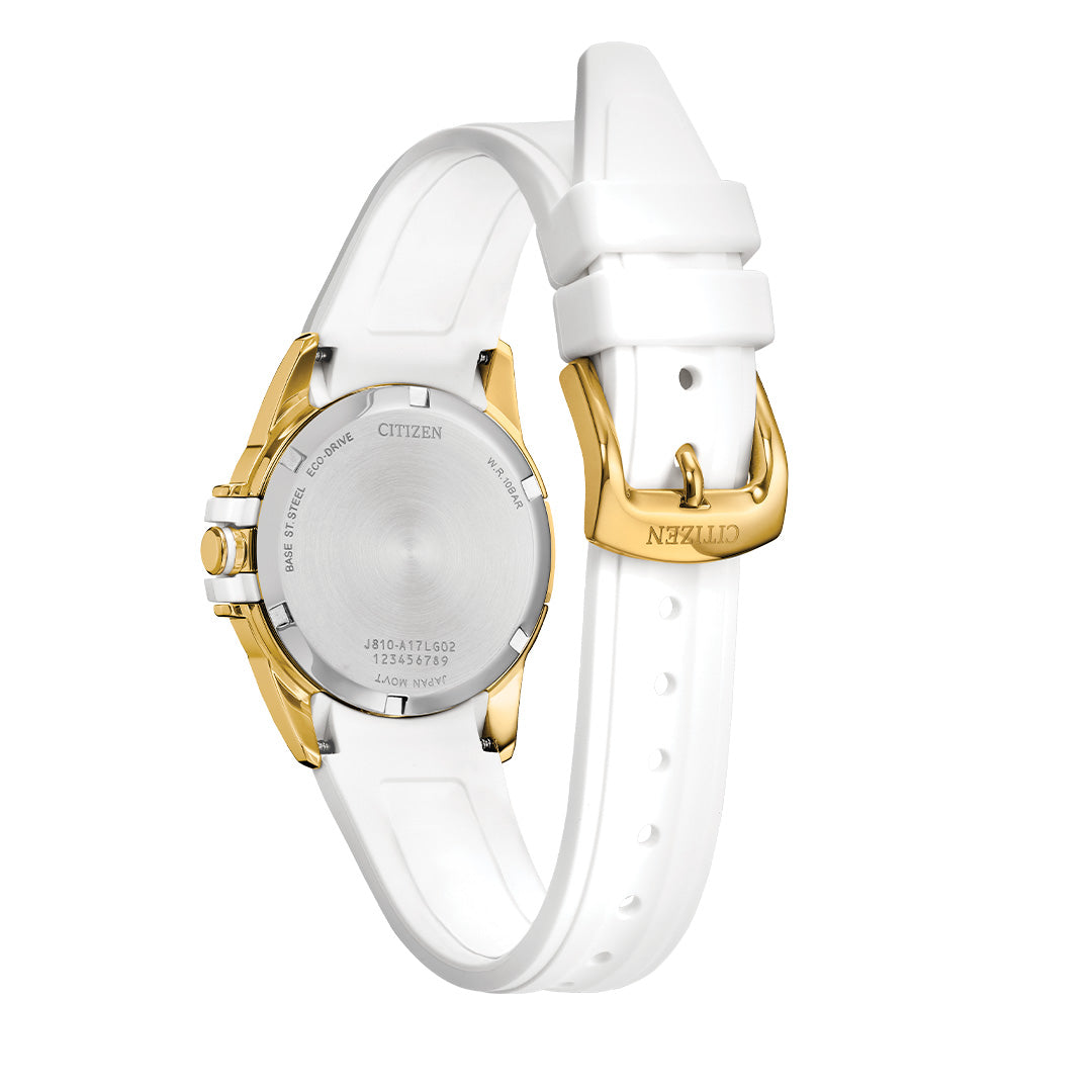 Reloj Citizen Veya Eco Drive  FE1262-03A