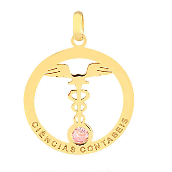 Dije Contabilidad 13615