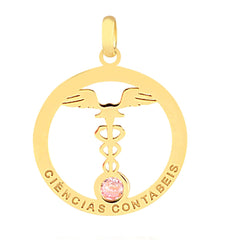 Dije Contabilidad 13615